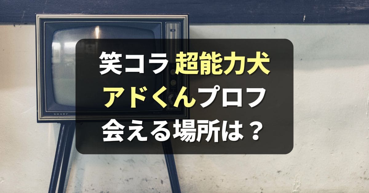 【超能力犬】笑コラ アドくんがかわいい！犬種,年齢,声優は？